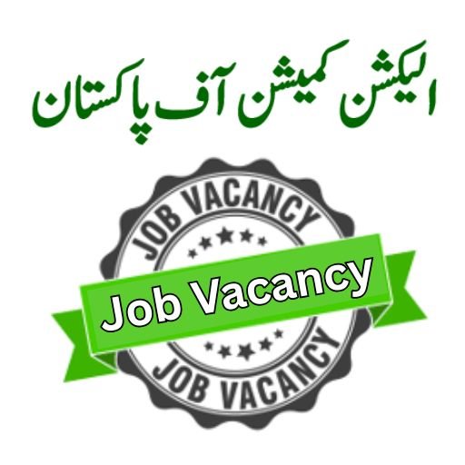 Assistant Election Commissioner