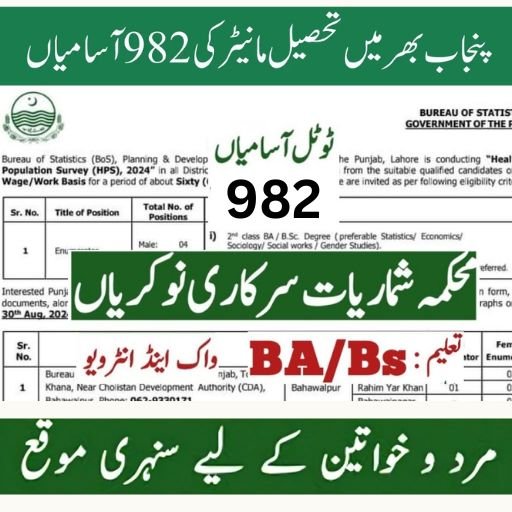 Punjab Bureau of Statistics jobs 2025